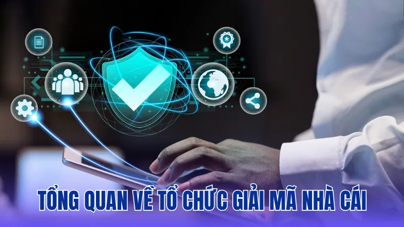Khám phá giá trị cốt lõi và định hướng phát triển của GMNC