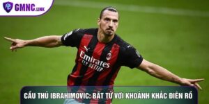Cầu thủ Ibrahimovic